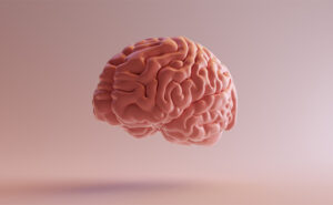 desenho de um cérebro em um fundo rosa