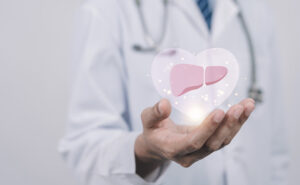 mão de um médico segurando um desenho 3D de um fígado dentro de um coração