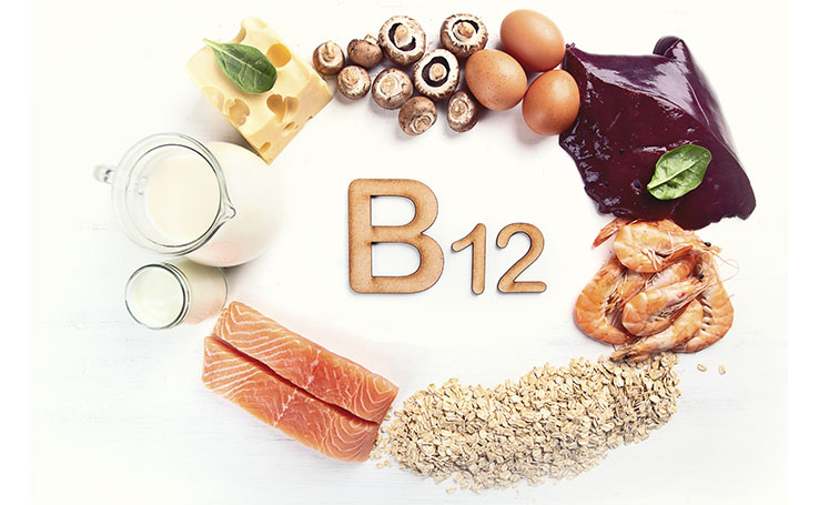 alimentos ricos em vitamina B12 dispostos em círculo